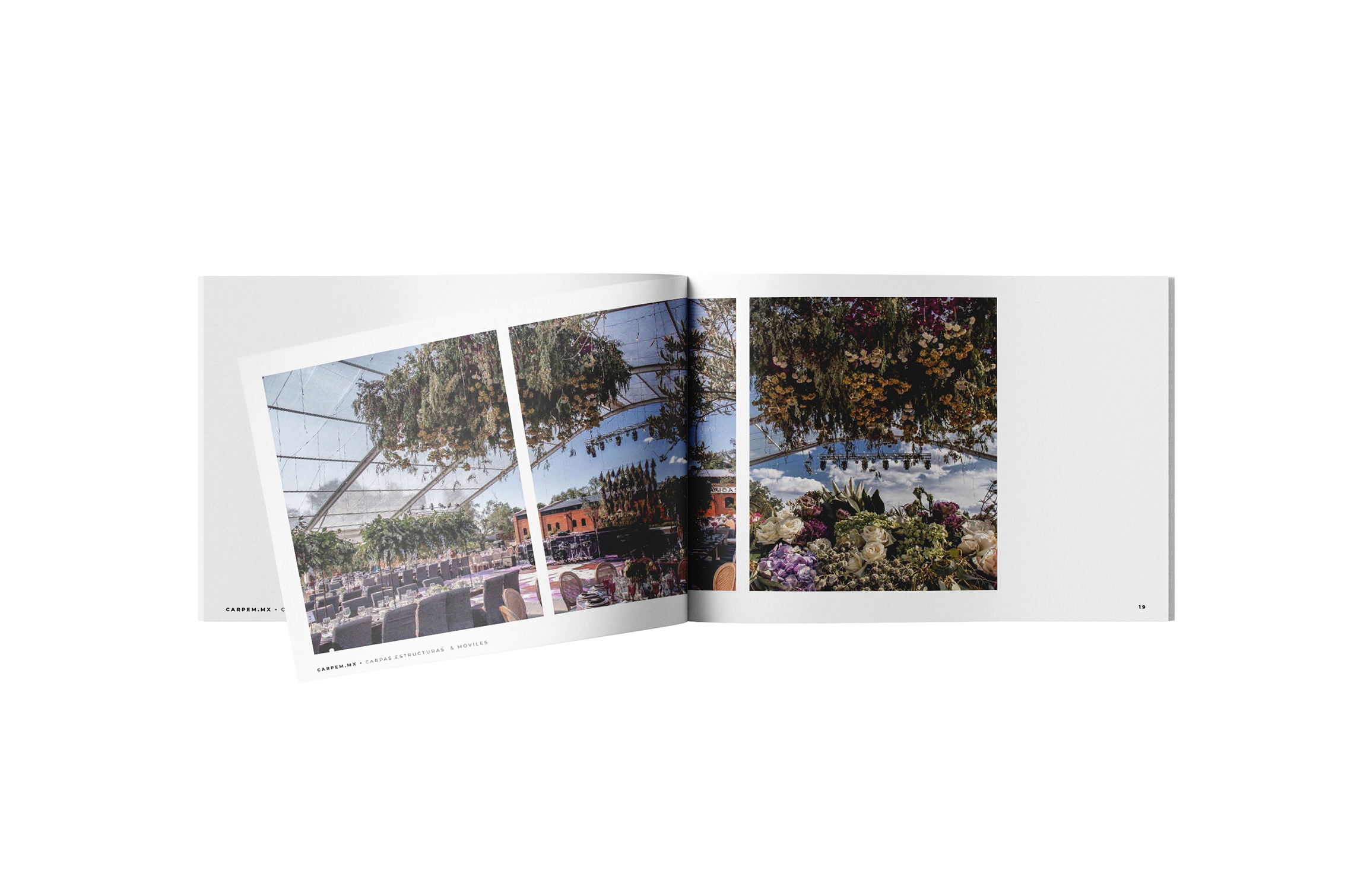 Francia Serrano Studio