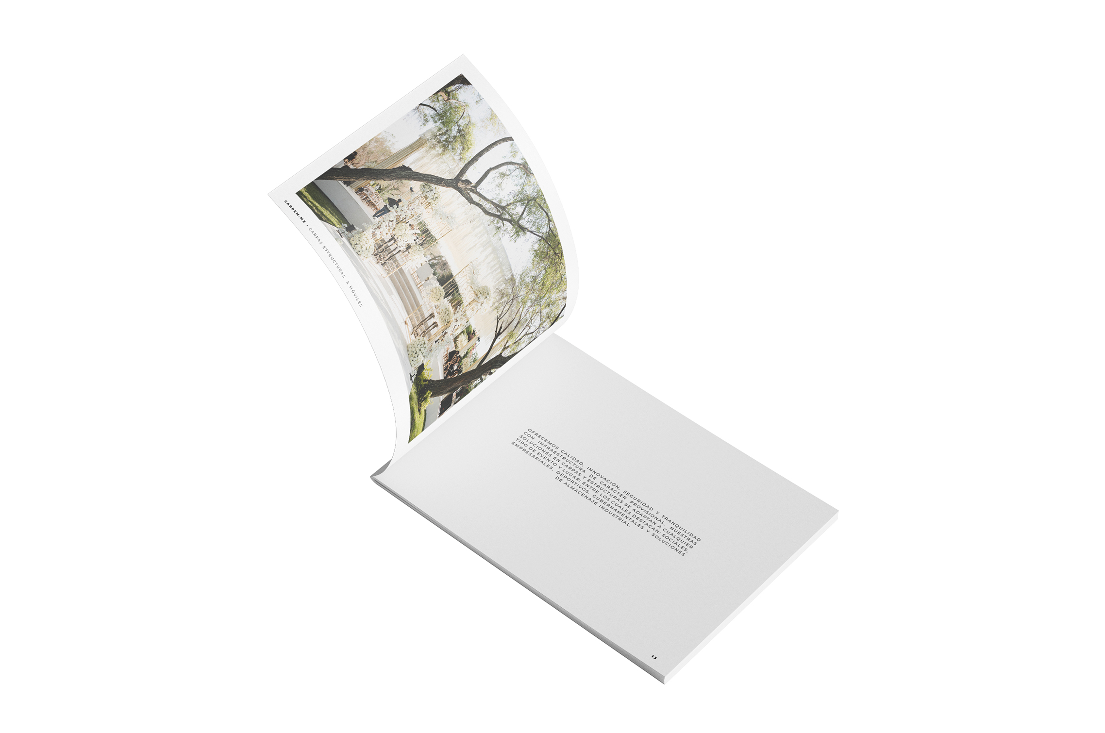 Francia Serrano Studio