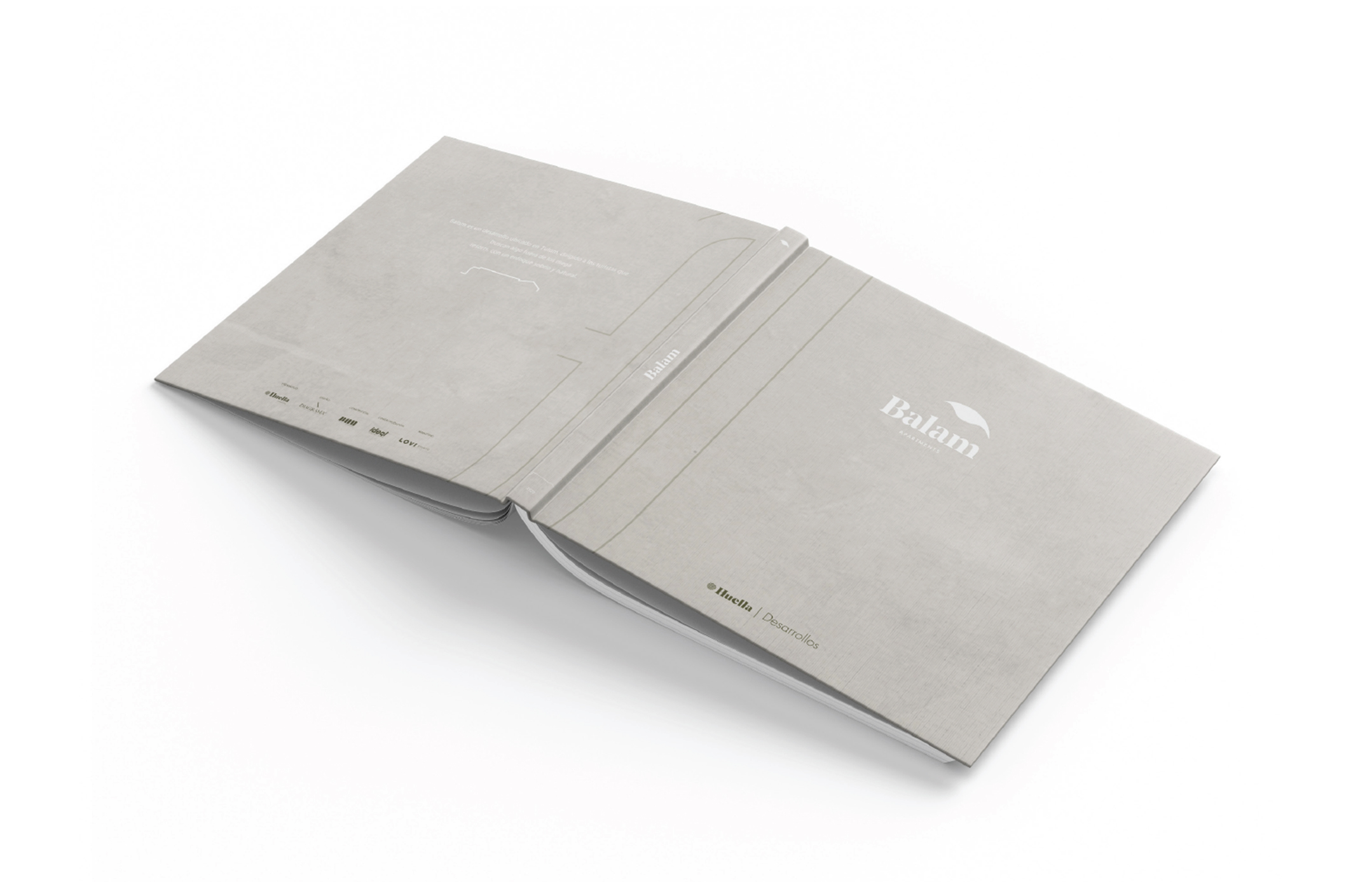 Francia Serrano Studio Portafolio Levy Holding Memoir